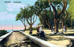 Miliana - Esplanade